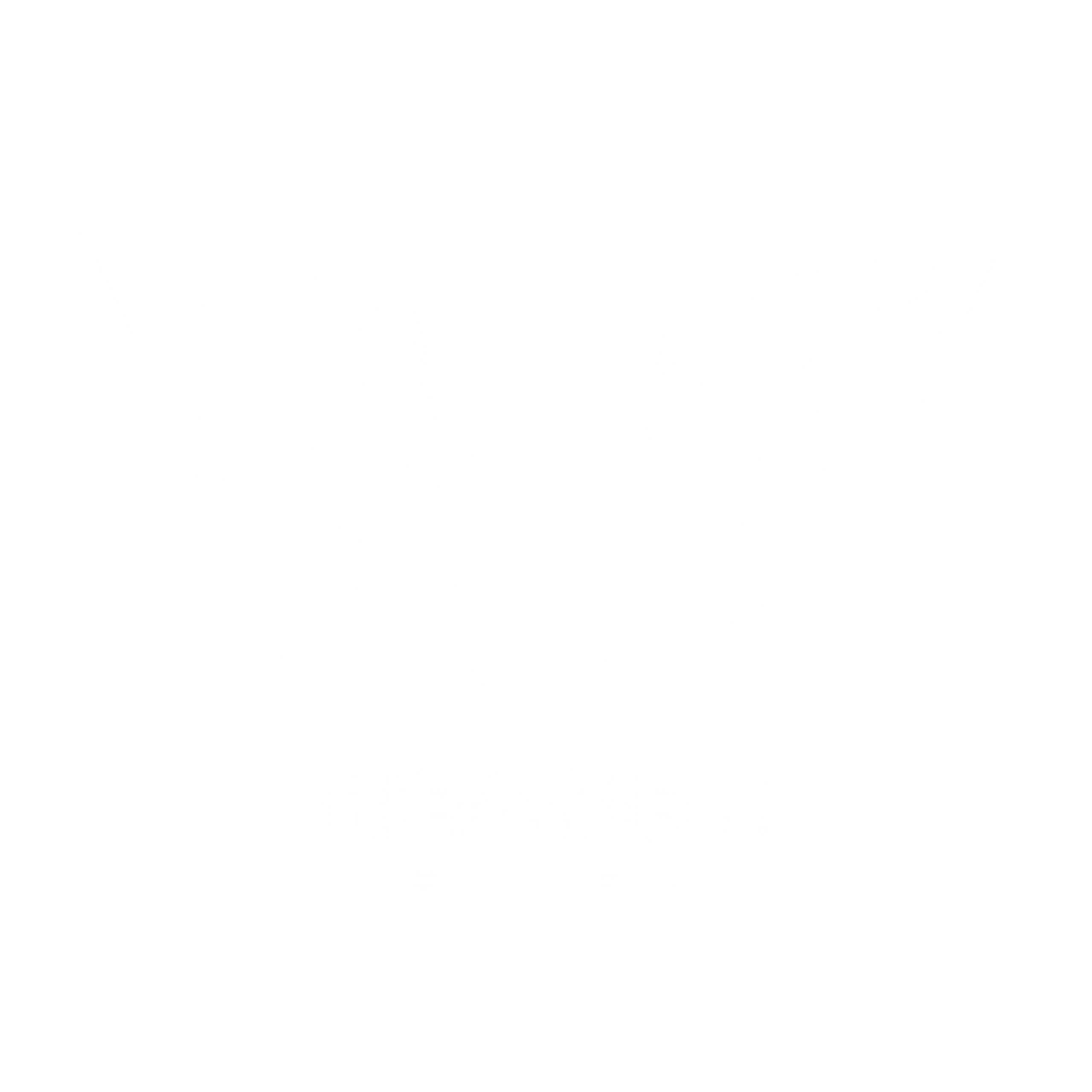 HEAVEN STORE